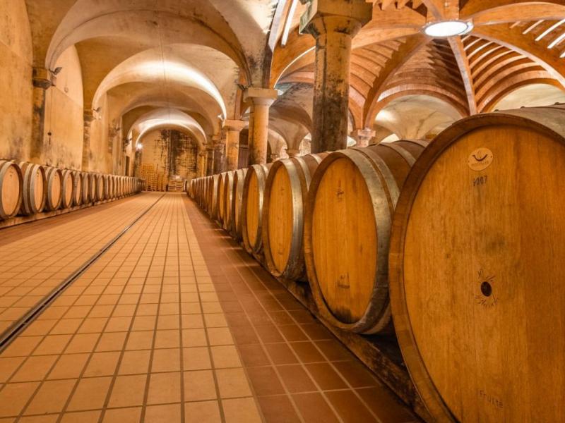 Wineries for sale in Siena - Castellina in Chianti , Tuscany 