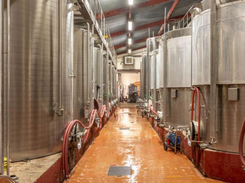 Wineries for sale in Siena - Castellina in Chianti , Tuscany 