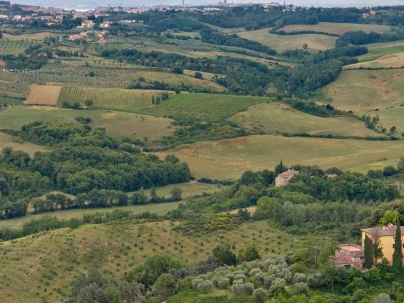 Wineries for sale for sale in Siena - Monteriggioni , 
