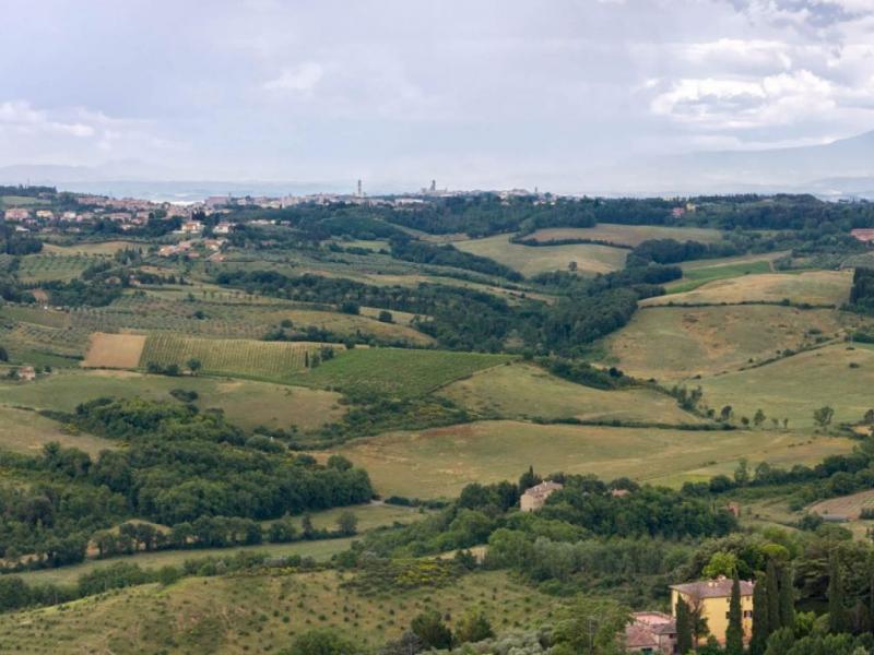 Wineries for sale for sale in Siena - Monteriggioni , 