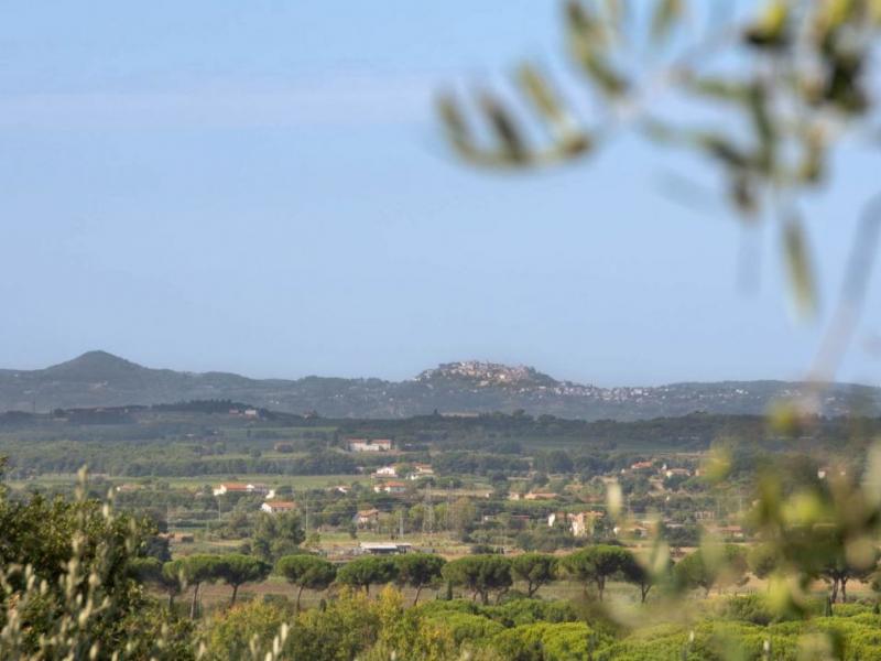 Detached House for sale for sale in Arezzo - Cortona , Tuscany 