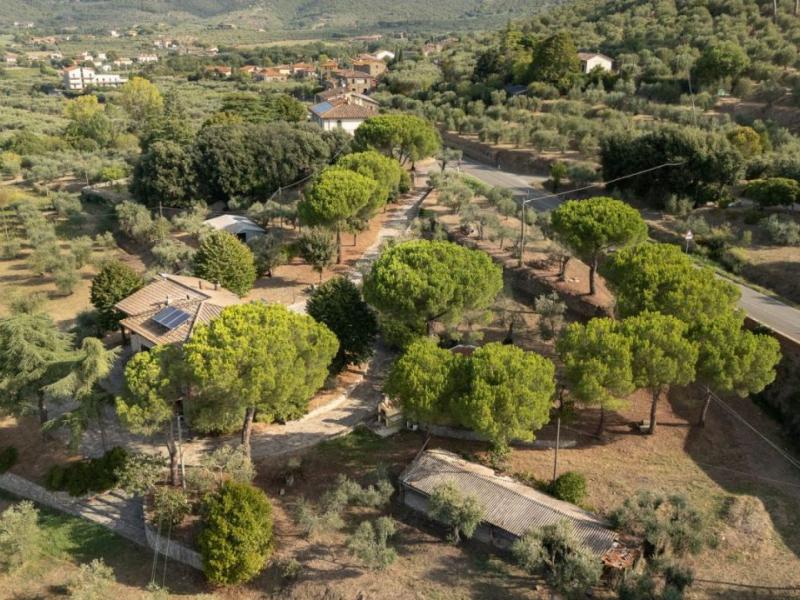 Detached House for sale for sale in Arezzo - Cortona , Tuscany 