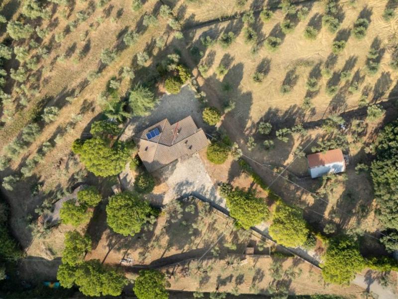 Detached House for sale for sale in Arezzo - Cortona , Tuscany 