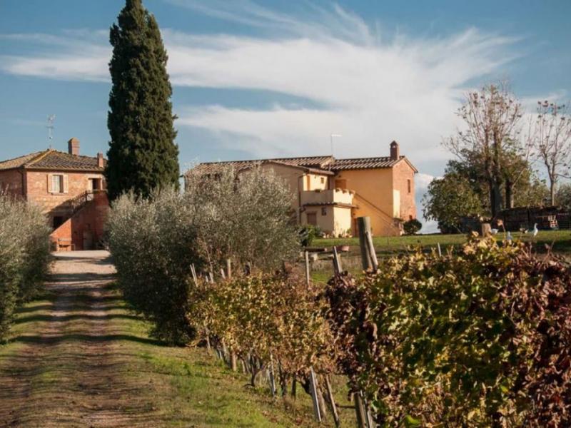 Wineries for sale for sale in Siena - Montepulciano , 