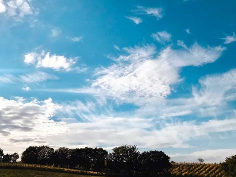Wineries for sale for sale in Siena - Montepulciano , 