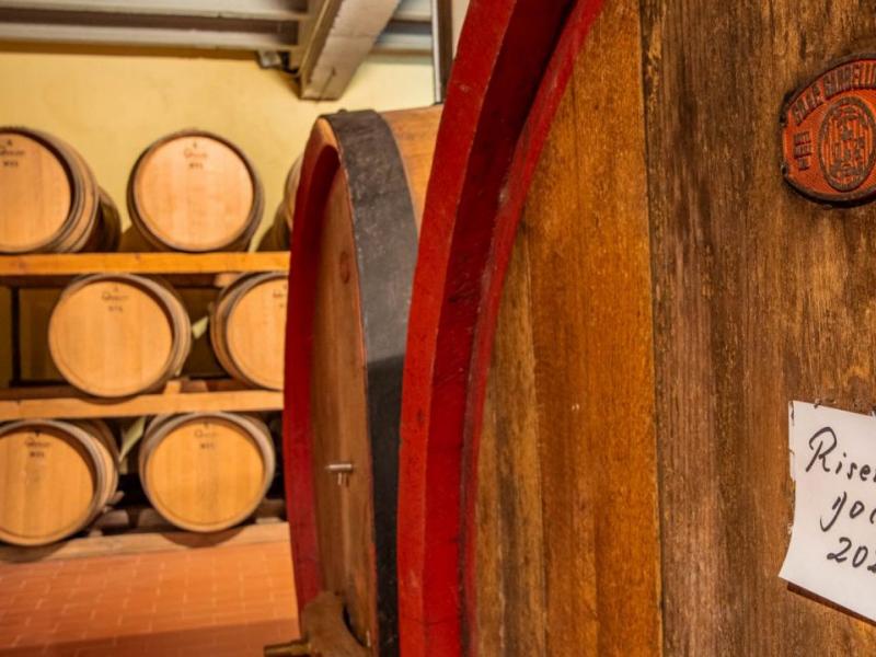 30-Acre Chianti Classico Winery and Vineyards for Sale , Tuscany 