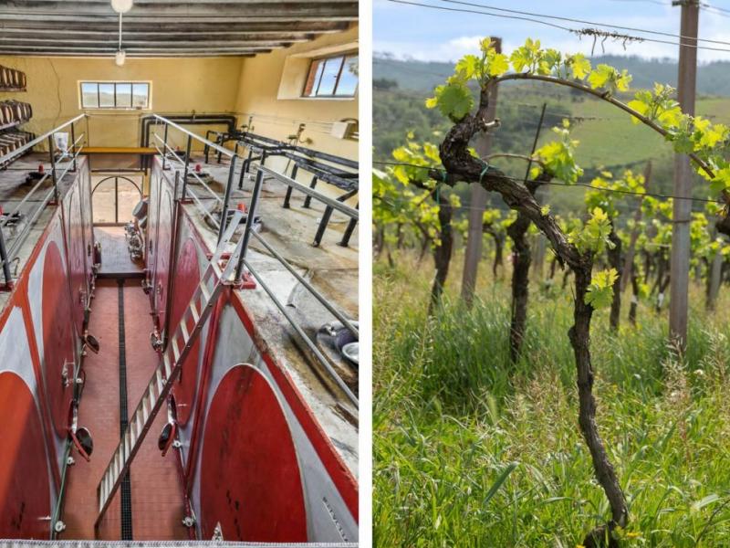 30-Acre Chianti Classico Winery and Vineyards for Sale , Tuscany 