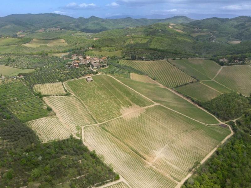 30-Acre Chianti Classico Winery and Vineyards for Sale , Tuscany 