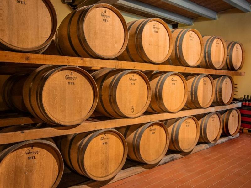 30-Acre Chianti Classico Winery and Vineyards for Sale , Tuscany 