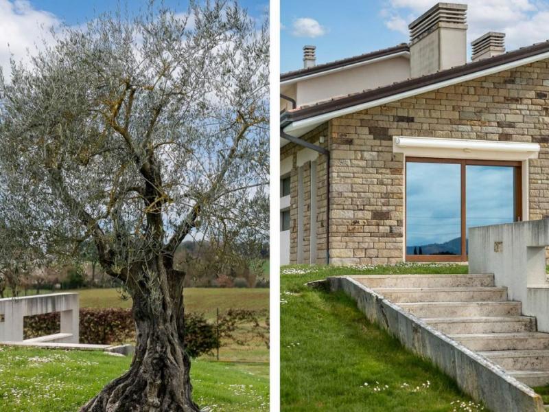 Luxury Eco Villa with Infinity Bio Pool and Olive Grove , Tuscany 