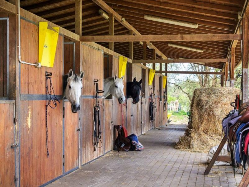 Tuscan Equestrian Estate with Farmhouse , Tuscany 