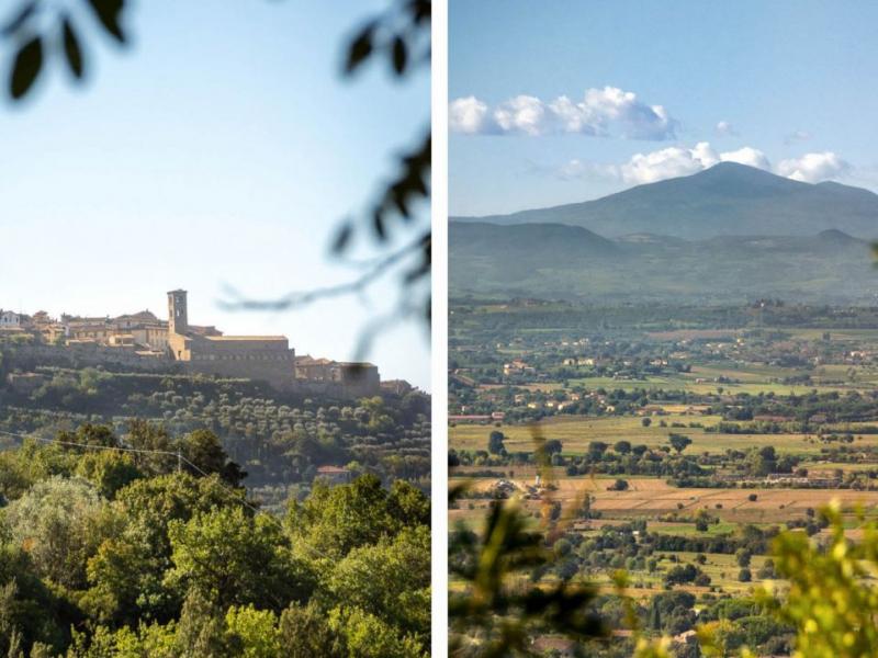 Restored Stone Country House with Pool and Olive Grove for Sale Near Cortona , Tuscany 