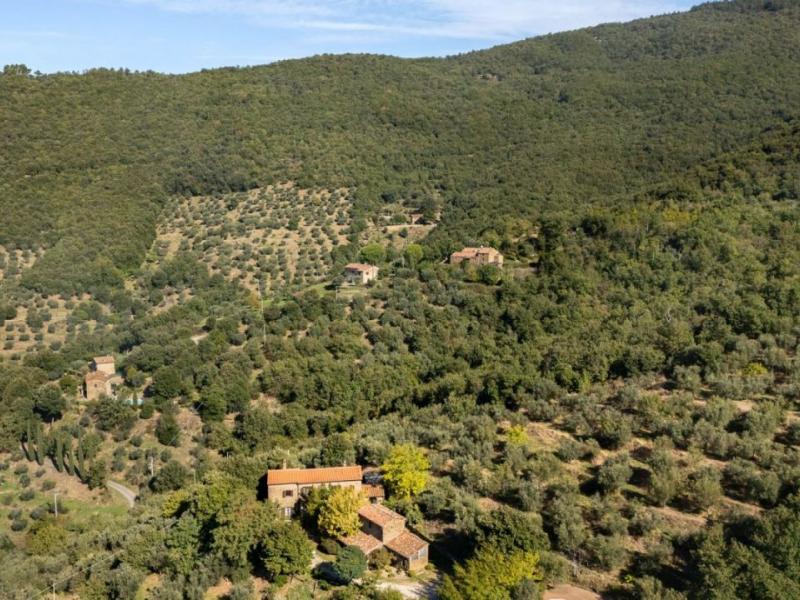 Restored Stone Country House with Pool and Olive Grove for Sale Near Cortona , Tuscany 