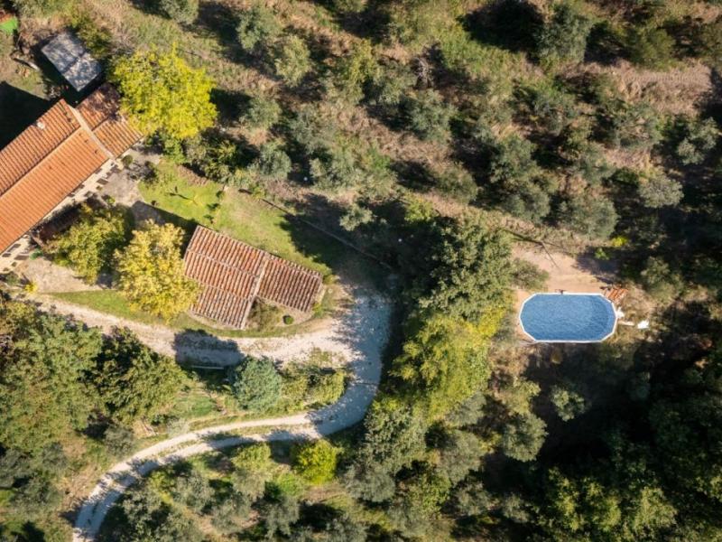 Restored Stone Country House with Pool and Olive Grove for Sale Near Cortona , Tuscany 