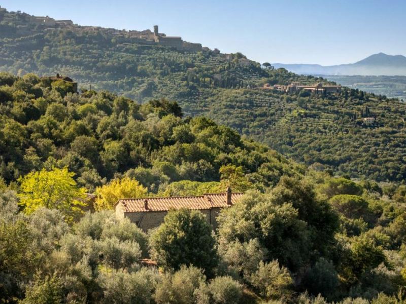 Restored Stone Country House with Pool and Olive Grove for Sale Near Cortona , Tuscany 