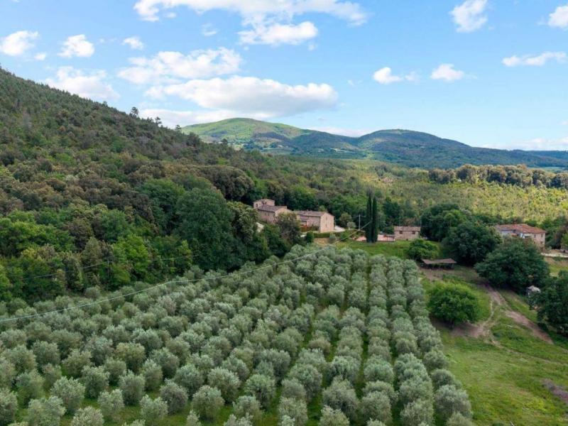 Country House/Farmhouse for sale for sale in Siena - Colle di Val d'Elsa , 
