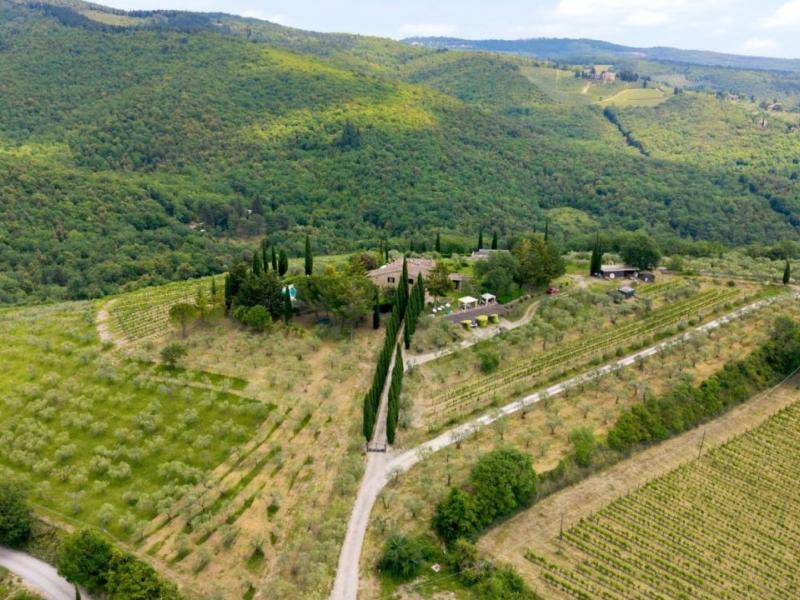 Farm for sale for sale in Siena - Castellina In Chianti , 