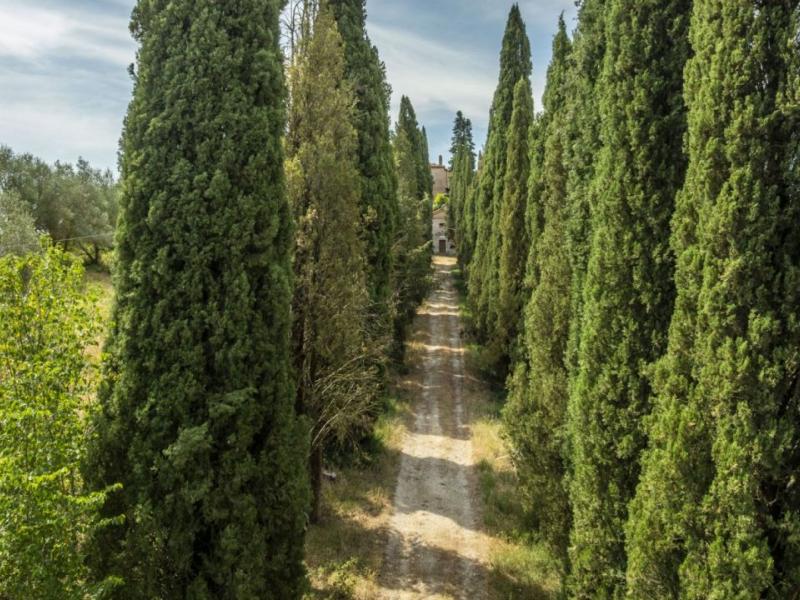 Historic Castle Estate for Sale in Montalcino with 180 Hectares & Luxury Development Potential , Tuscany 