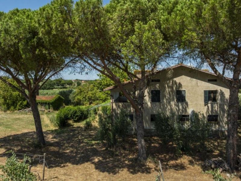 Country House/Farmhouse for sale for sale in Arezzo - Cortona , 