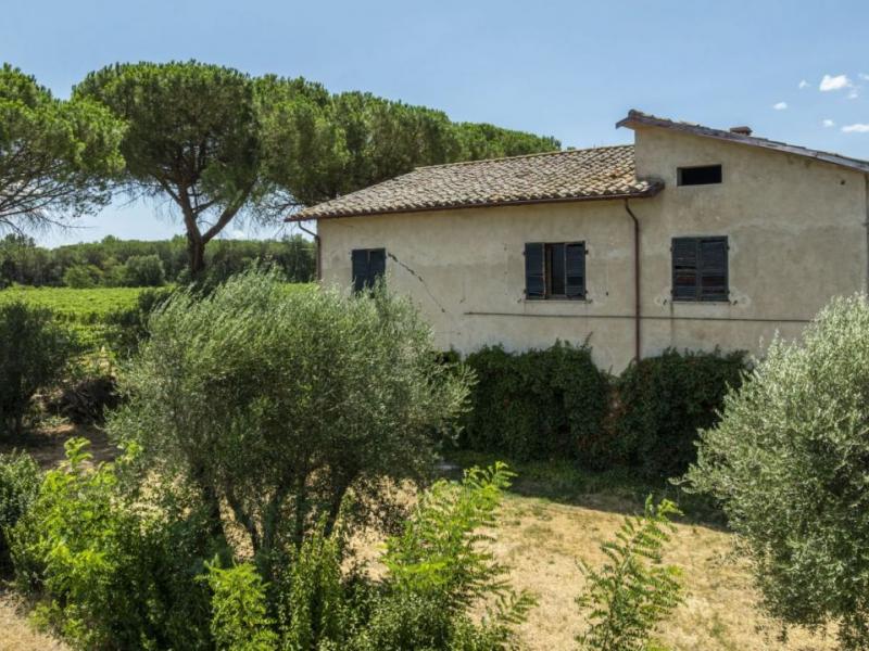 Country House/Farmhouse for sale for sale in Arezzo - Cortona , 