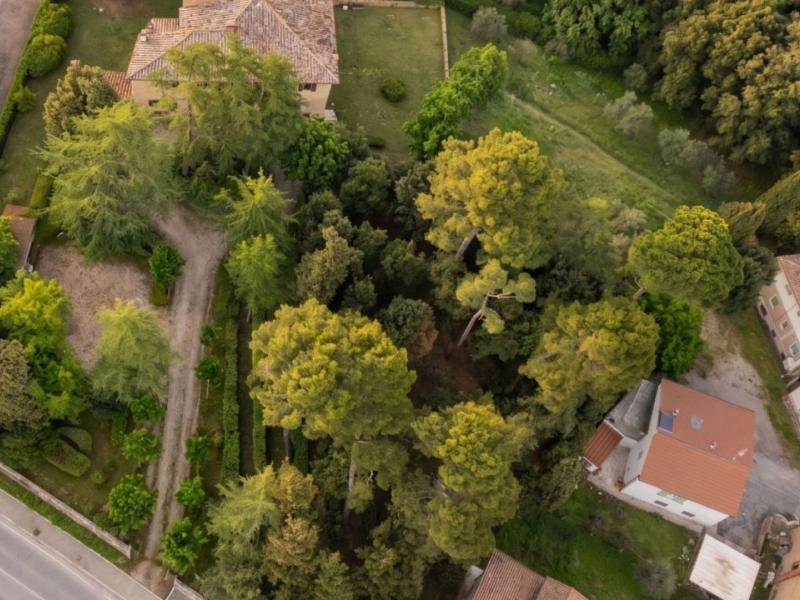 Houses for sale in Siena - Montepulciano , 