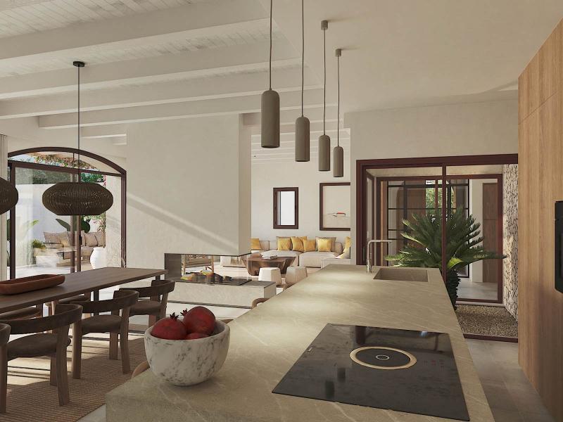 Luxury Village Finca for Sale in Ses Salines , Ses Salines 