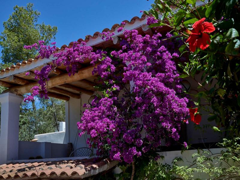 Country House for Sale Between Ibiza Town and San José, Ibiza , Sant Josep de sa Talaia, 
