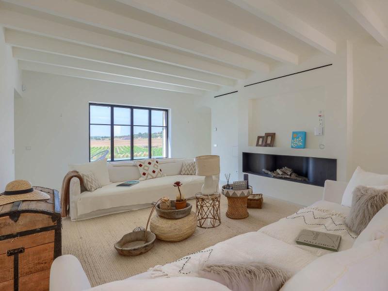 New-Build Finca with Vineyard & Guest House , Central 