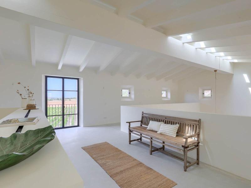 New-Build Finca with Vineyard & Guest House , Central 