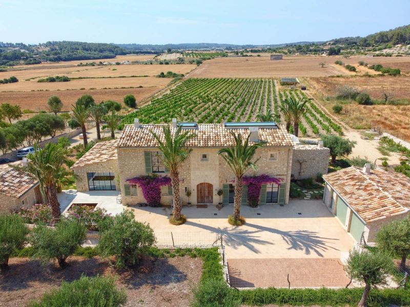 New-Build Finca with Vineyard & Guest House , Central 