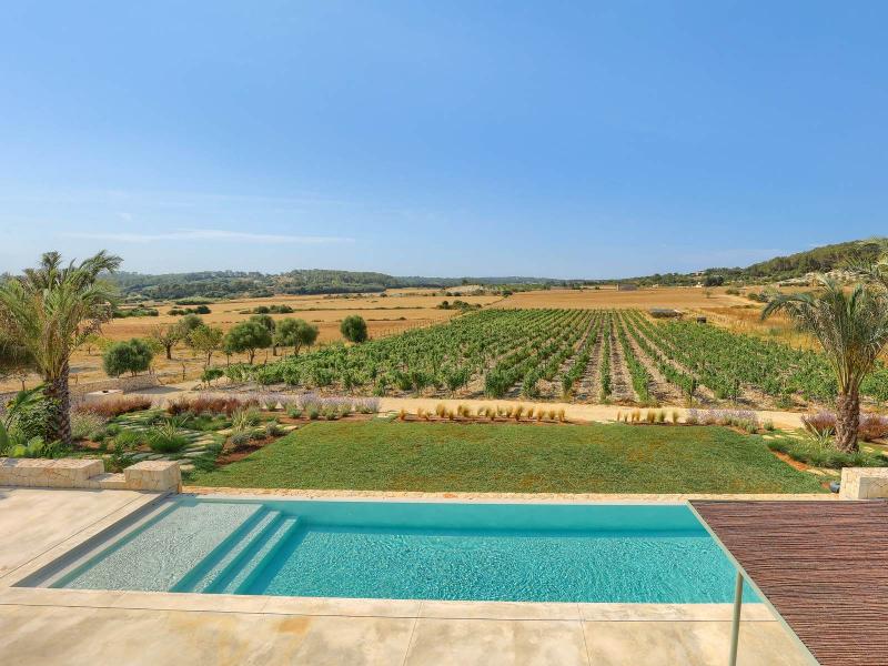 New-Build Finca with Vineyard & Guest House , Central 