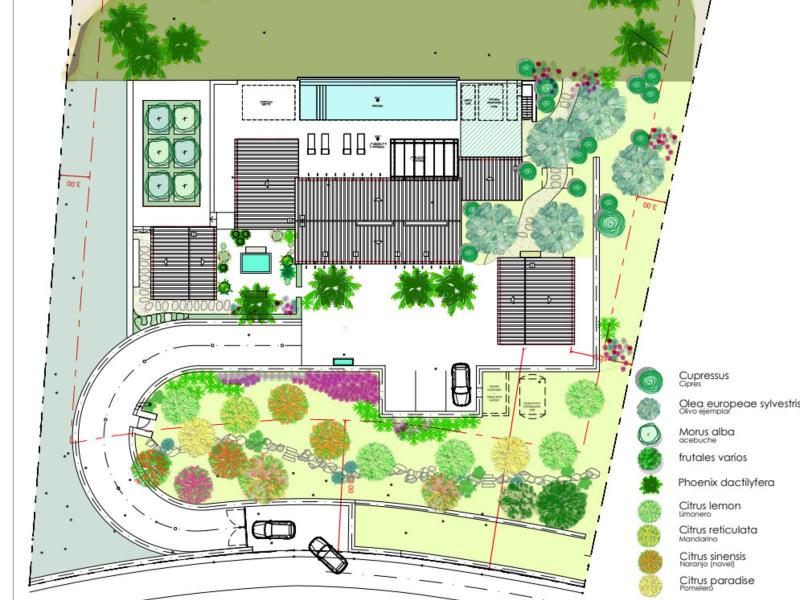 New-Build Finca with Vineyard & Guest House , Central 
