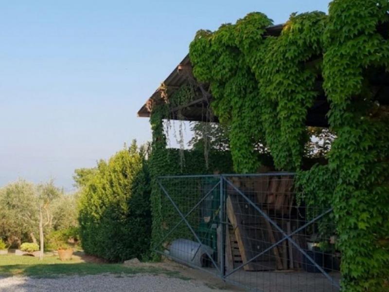 Country House/Farmhouse for sale for sale in Siena - Castellina In Chianti , 