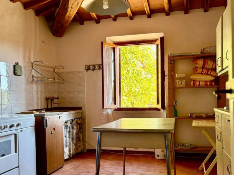 Country House/Farmhouse for sale for sale in Siena - Castellina In Chianti , 