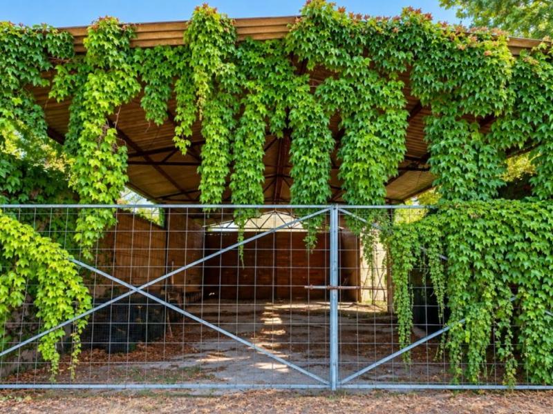 Country House for sale for sale in Siena - Castellina In Chianti , Tuscany 