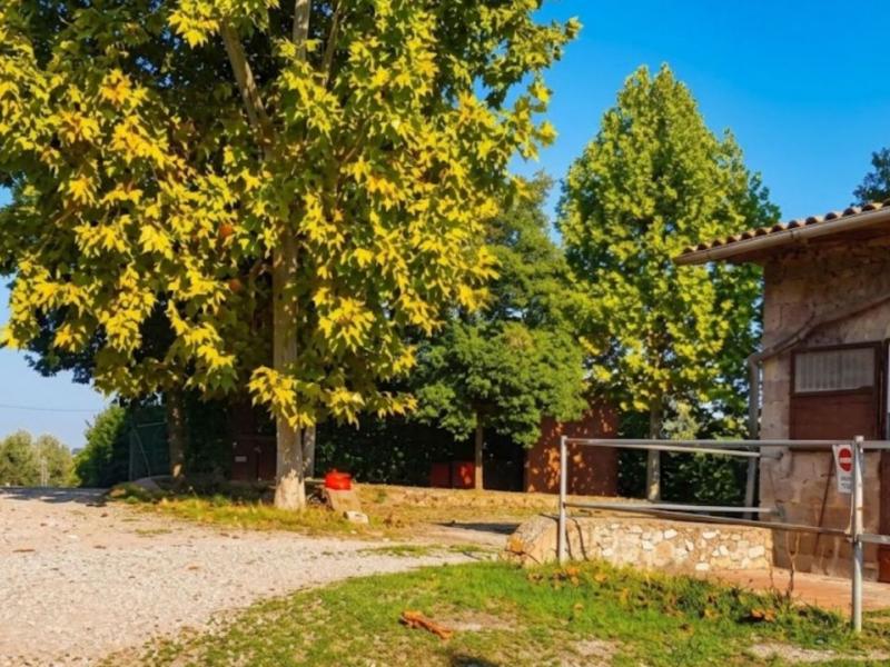 Country House for sale for sale in Siena - Castellina In Chianti , Tuscany 