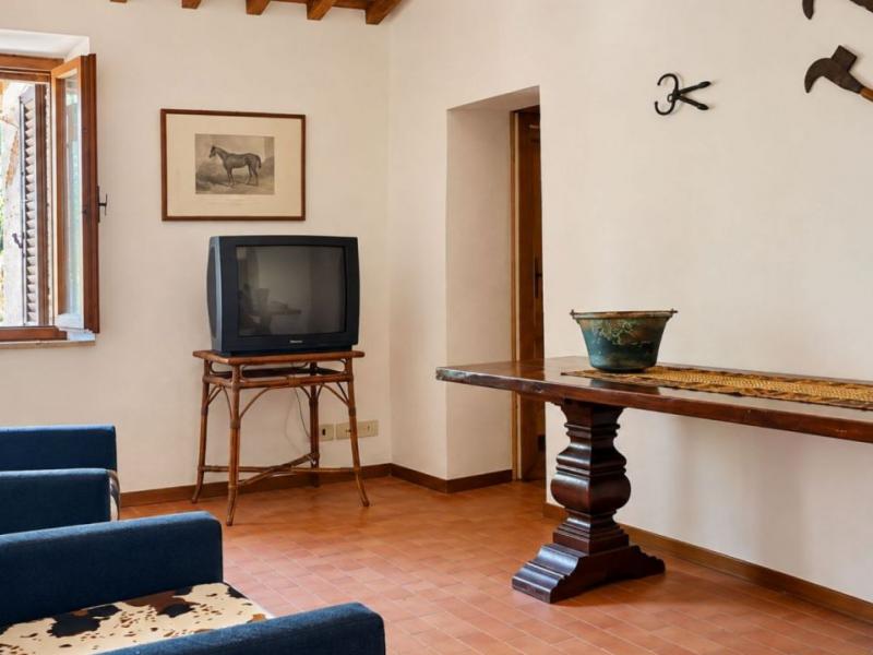 Country House for sale for sale in Siena - Castellina In Chianti , Tuscany 