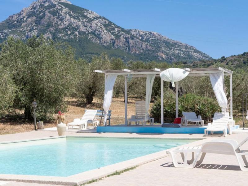Charming Sardinian farmhouse with pool, vineyard, and olive grove , Sardinia 