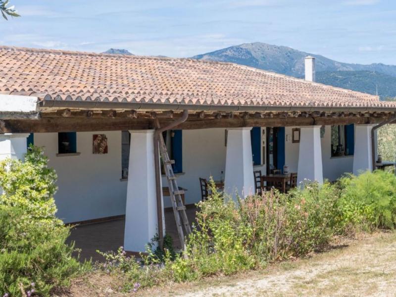 Charming Sardinian farmhouse with pool, vineyard, and olive grove , Sardinia 
