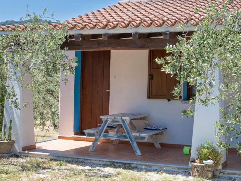 Charming Sardinian farmhouse with pool, vineyard, and olive grove , Sardinia 