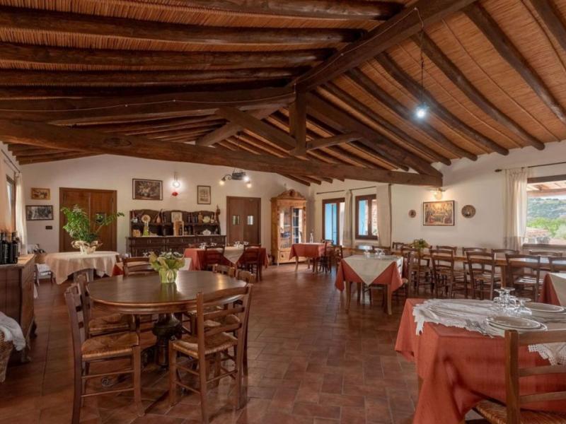 Charming Sardinian farmhouse with pool, vineyard, and olive grove , Sardinia 