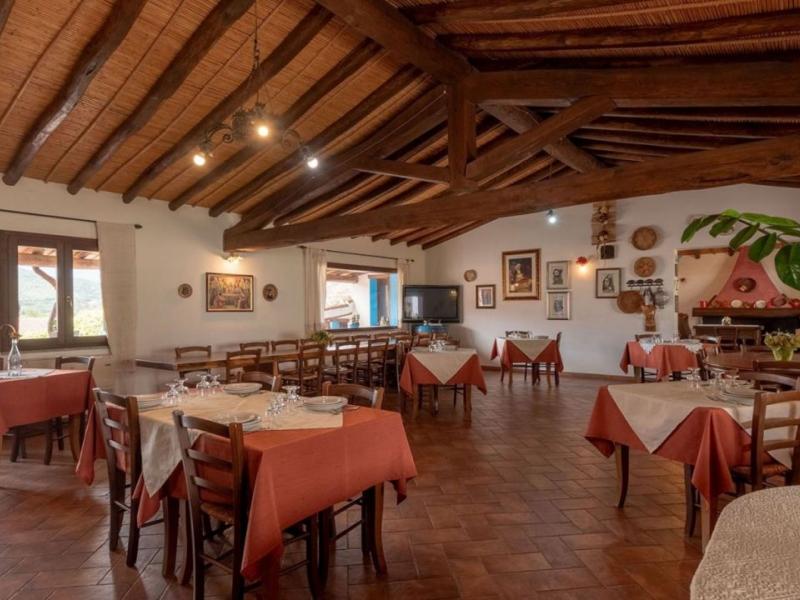 Charming Sardinian farmhouse with pool, vineyard, and olive grove , Sardinia 