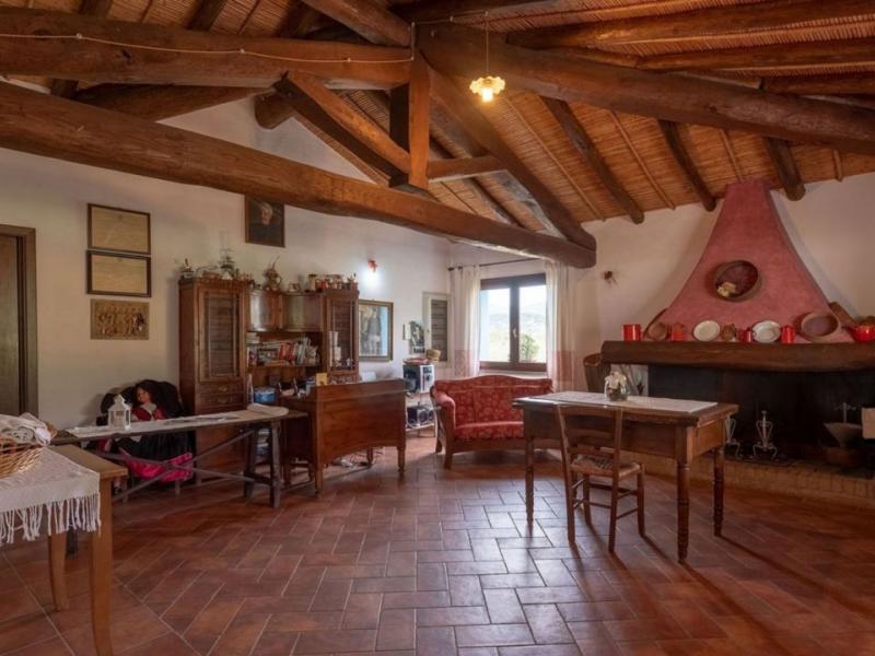 Charming Sardinian farmhouse with pool, vineyard, and olive grove , Sardinia 