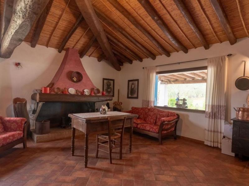 Charming Sardinian farmhouse with pool, vineyard, and olive grove , Sardinia 