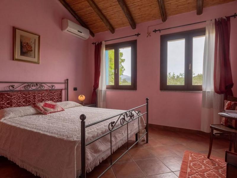 Charming Sardinian farmhouse with pool, vineyard, and olive grove , Sardinia 