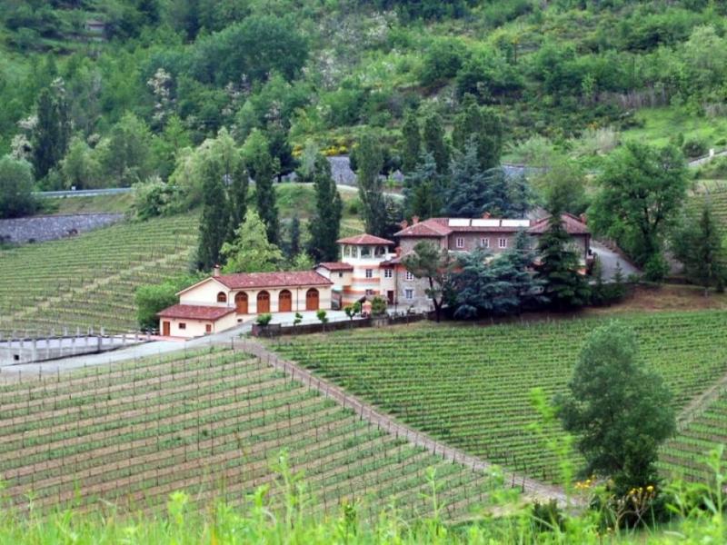 Wineries for sale for sale in Alessandria - Cremolino , 