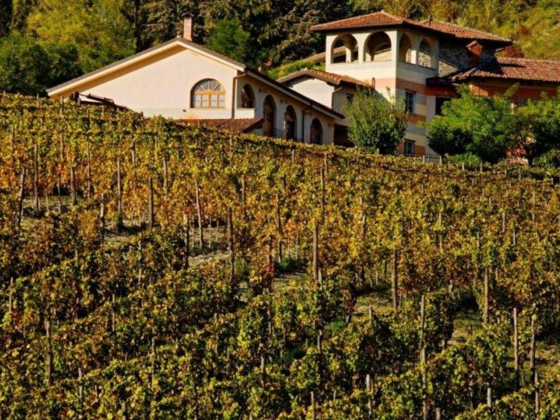 Wineries for sale for sale in Alessandria - Cremolino , 