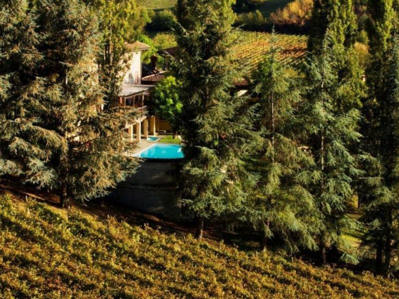 Wineries for sale for sale in Alessandria - Cremolino , 
