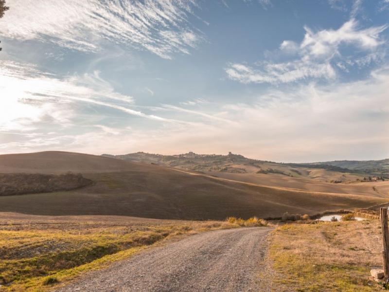 Castle for sale for sale in Firenze - Castelfiorentino , 