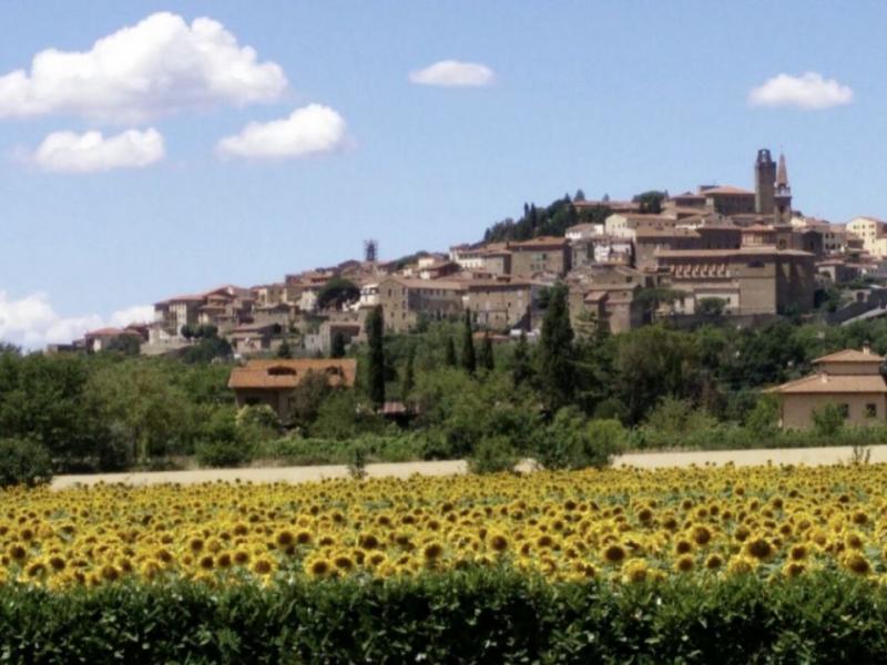 Castle for sale for sale in Firenze - Castelfiorentino , 